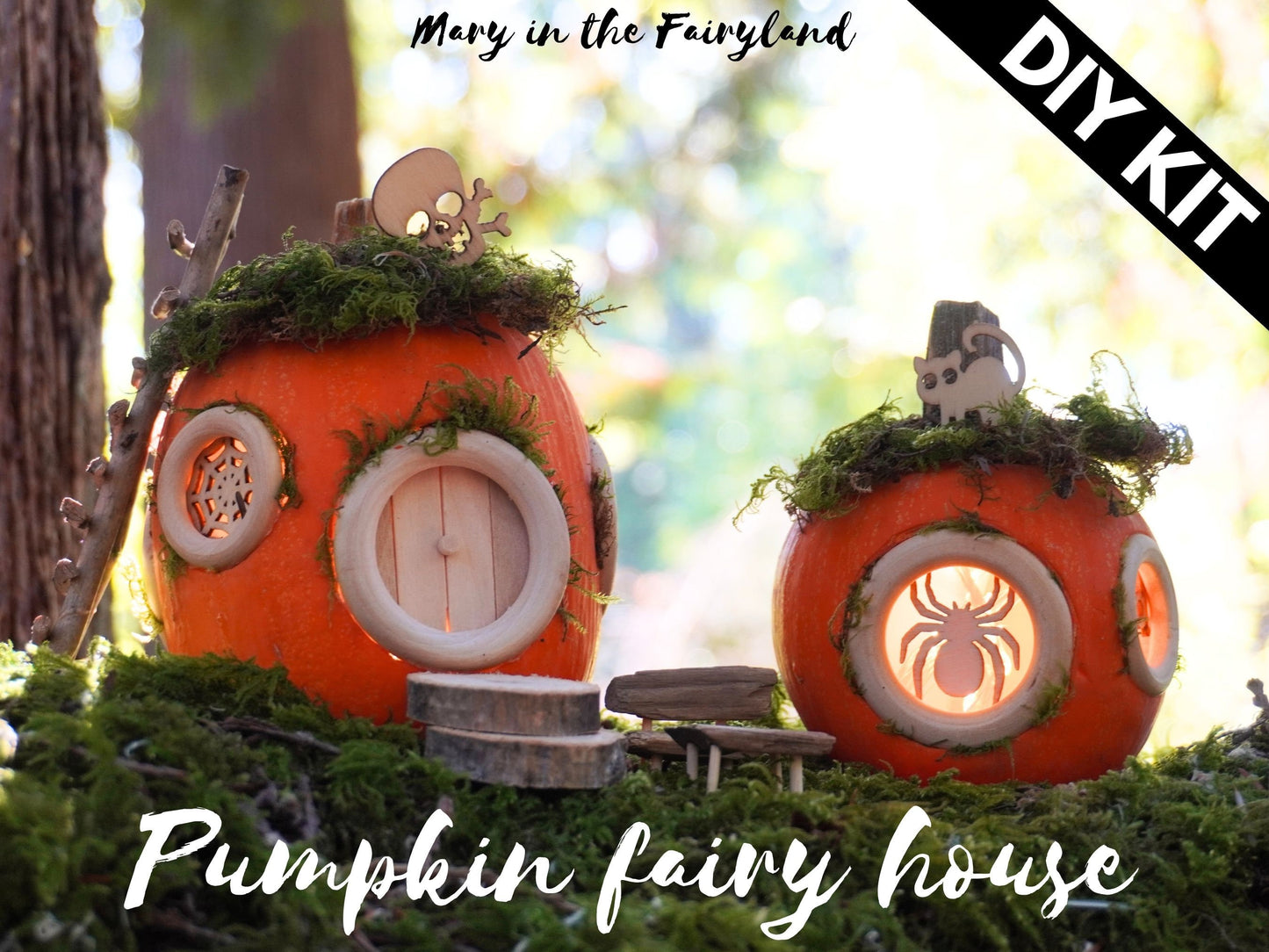 DIY Pumpkin Fairy House Kit