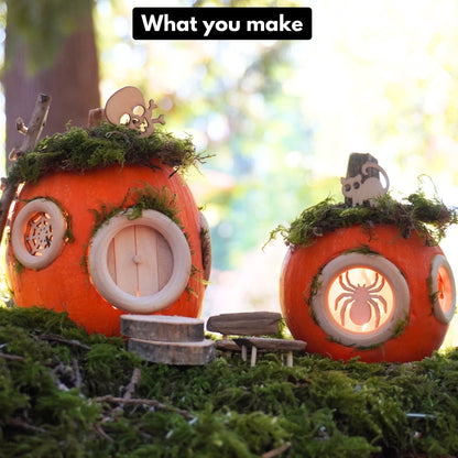 DIY Pumpkin Fairy House Kit