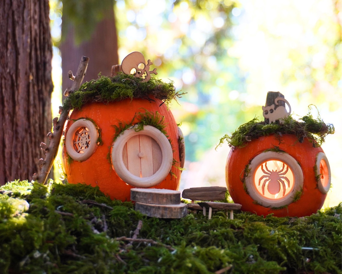 DIY Pumpkin Fairy House Kit