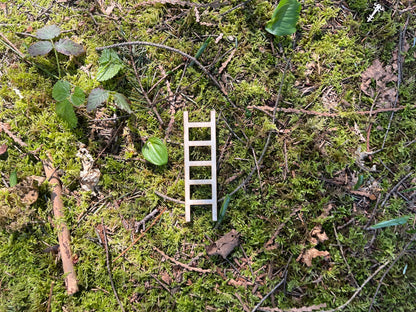 Fairy Garden Ladder - Whimsical Accessory for Enchanting Displays