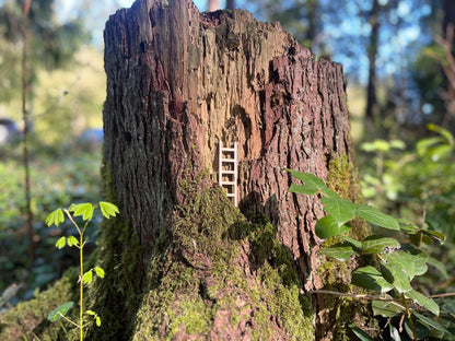 Fairy Garden Ladder - Whimsical Accessory for Enchanting Displays