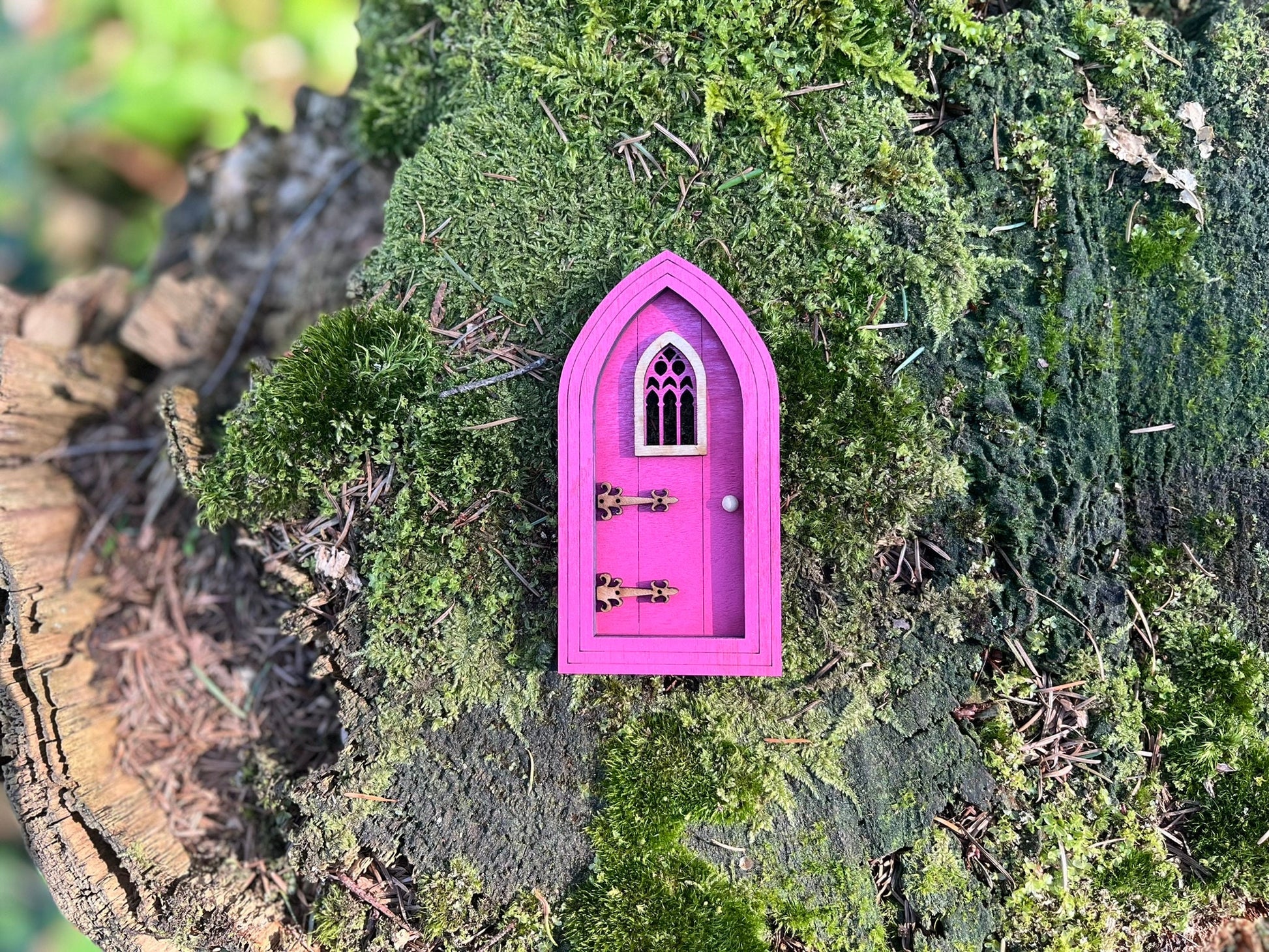 Enchanting Colored Gothic Fairy Doors for Outdoor Fairy Gardens