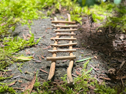 Handmade Twig Fairy Garden Ladder