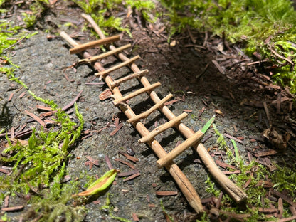 Handmade Twig Fairy Garden Ladder