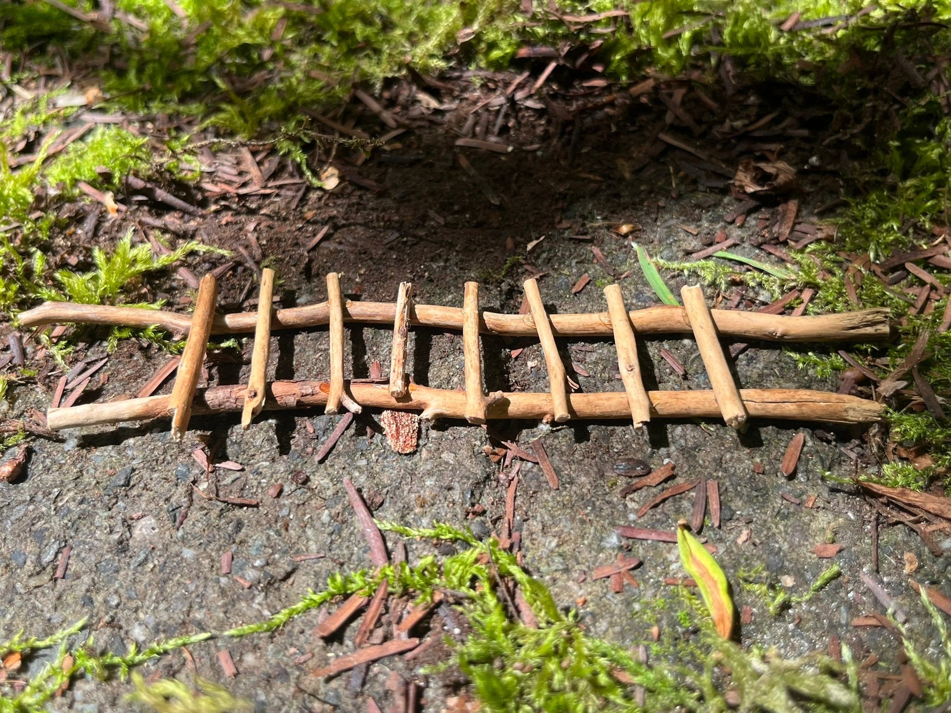 Handmade Twig Fairy Garden Ladder