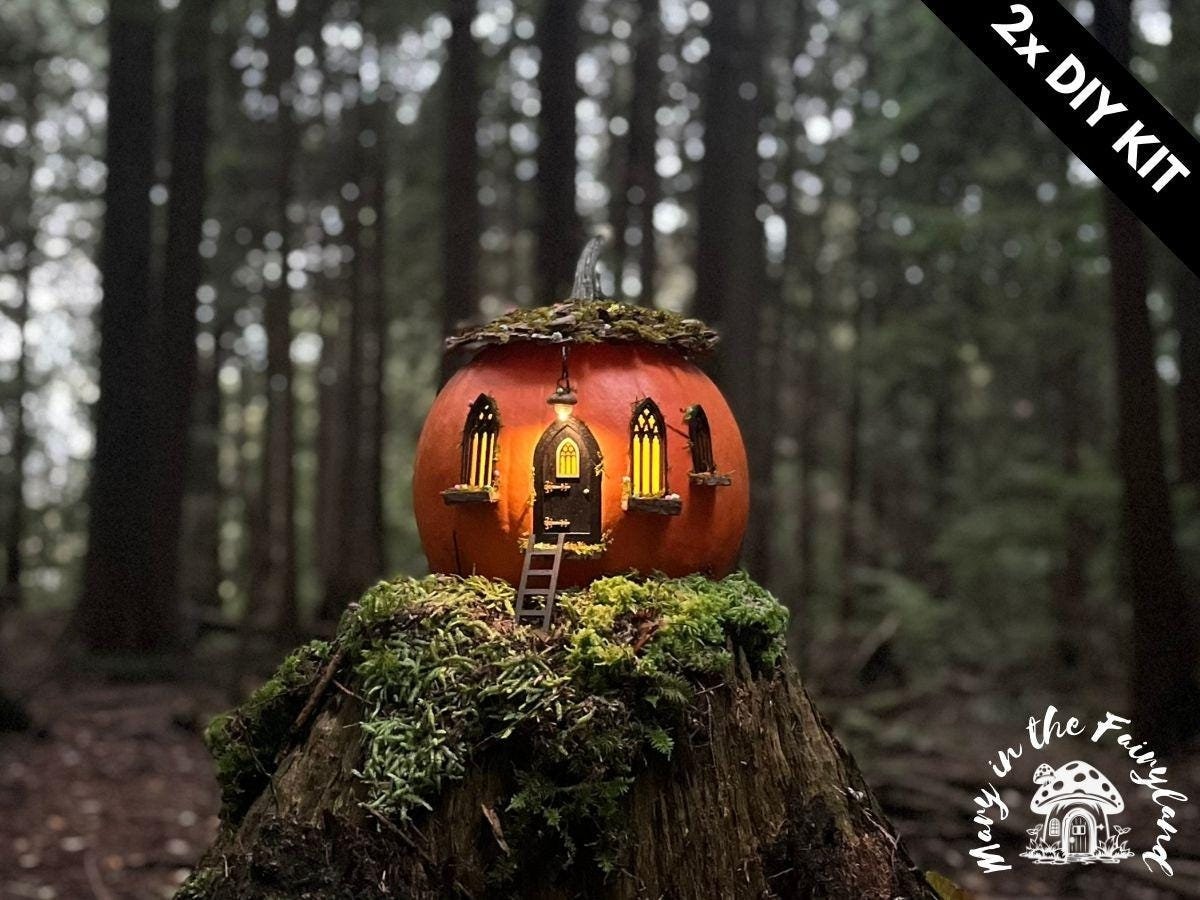 2x DIY Pumpkin Fairy House Kits – Create a Magical Home