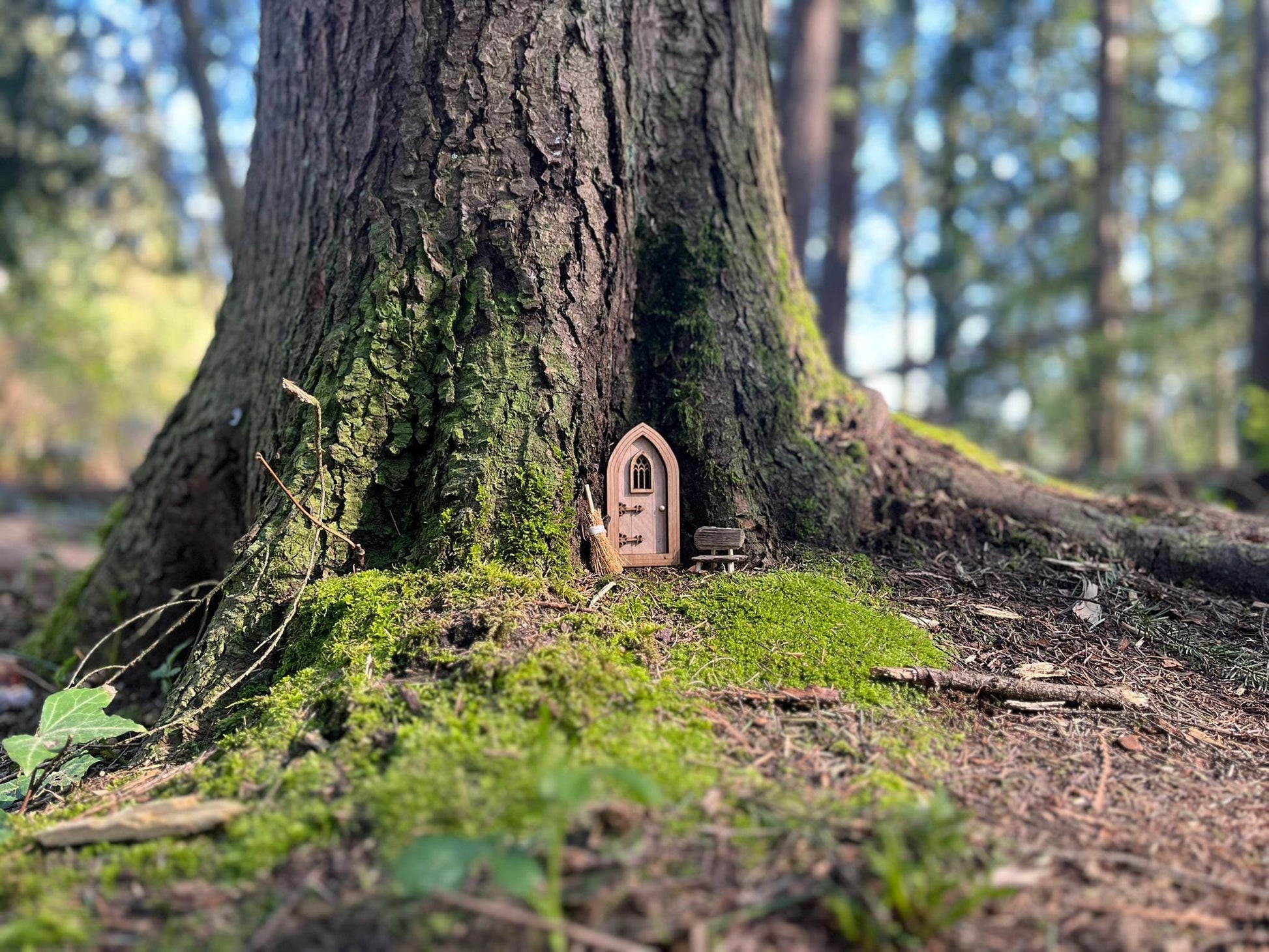 DIY Gothic Fairy Door Set - Create Your Own Magical Entrance