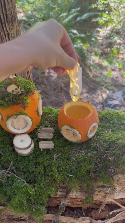 DIY pumpkin fairy house Kit