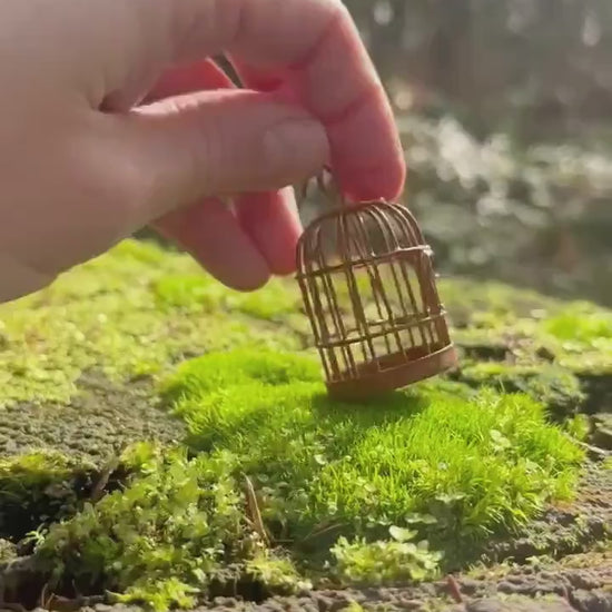 Enchanting Miniature Metal Fairy Birdcage - Vintage Rusty Ornaments for Fairy Gardens