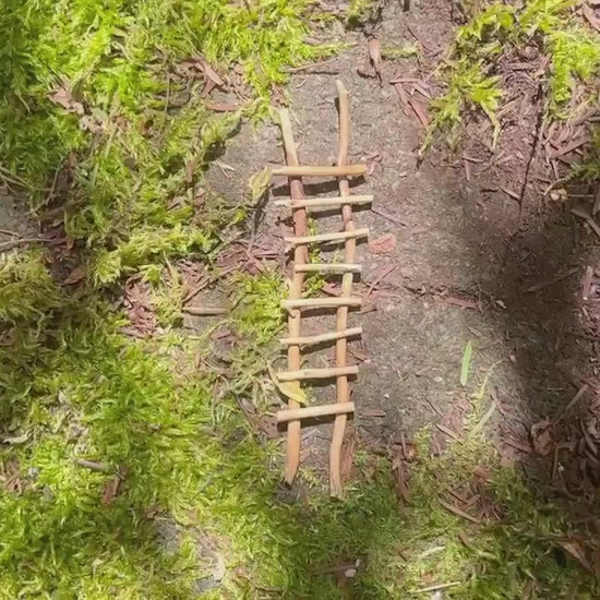 Handmade Twig Fairy Garden Ladder