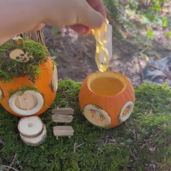 2x DIY pumpkin fairy house Kits